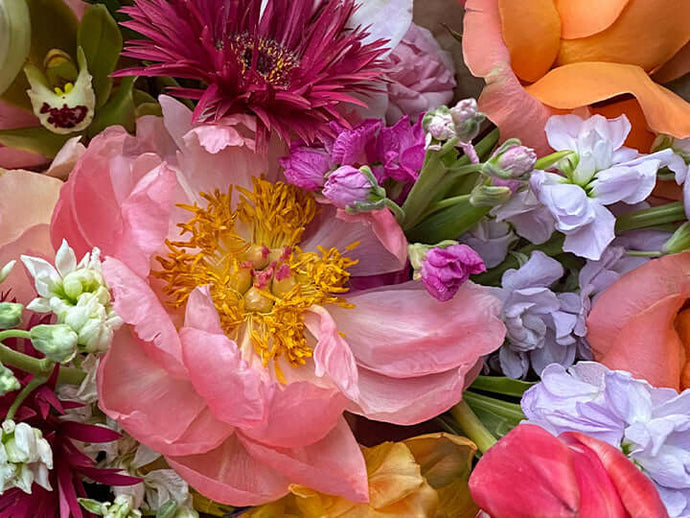 Fave Bulk Flower Resources for the DIY Bride
